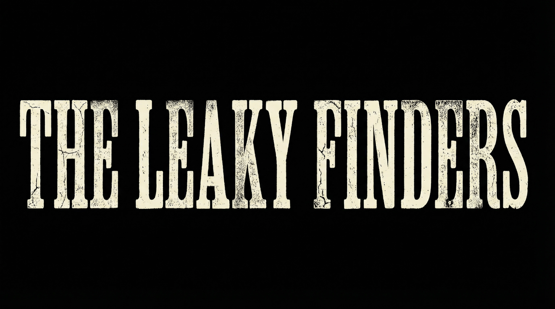 The Leaky Finders - Detección Profesional de Fugas de Agua Lanzarote
